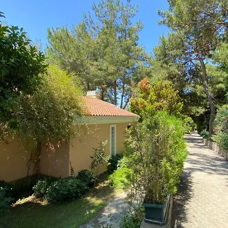 Pine Club Apart Gasthof 4*