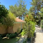 Pine Club Apart Casa de hóspedes 4*