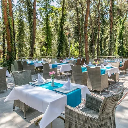 Pine Club Apart Гостевой дом