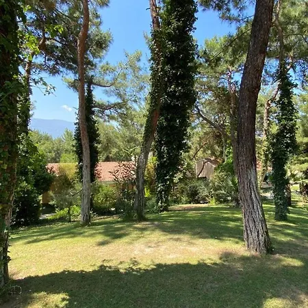 Maison d'hôtes Pine Club Apart Kusadası