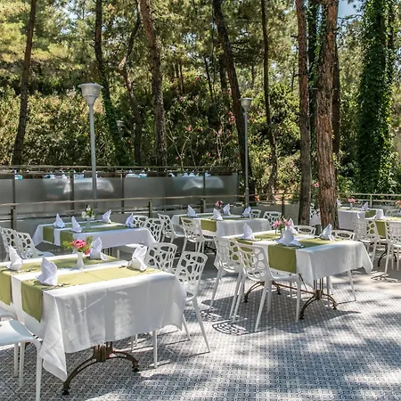 Pine Club Apart Maison d'hôtes