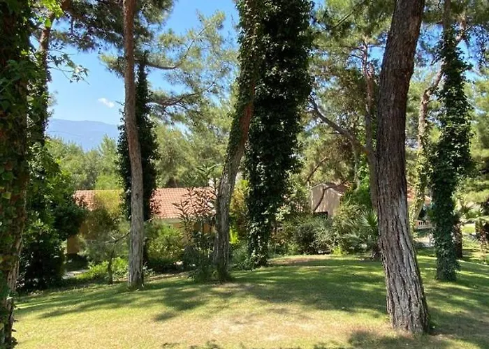 Maison d'hôtes Pine Club Apart Kusadası