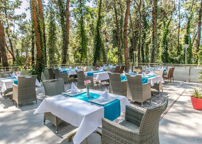 Pine Club Apart Maison d'hôtes