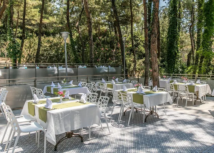 Pine Club Apart Maison d'hôtes